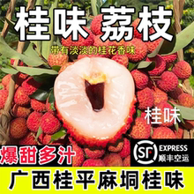 桂味荔枝广西新鲜荔枝爆甜现摘当季头茬5斤大果新鲜水果顺丰包邮
