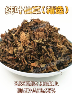 闽南特产草果草粿草黑凉粉烧仙草原料仙草蜜凉粉草草干四果汤