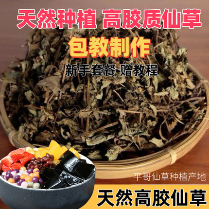 仙草干烧仙草原材料全叶草果粿烧仙草新鲜草干纯叶子全叶黑凉粉草