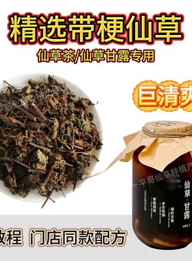 平哥出品｜仙草甘露茶古法熬制清热解暑仙草梗台式仙草茶当季仙草
