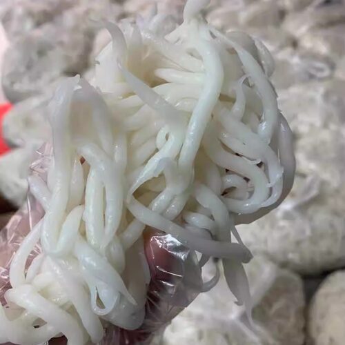 梅州客家现做老鼠板珍珠粄大埔特产小吃西河老鼠粉3斤腌面梅县