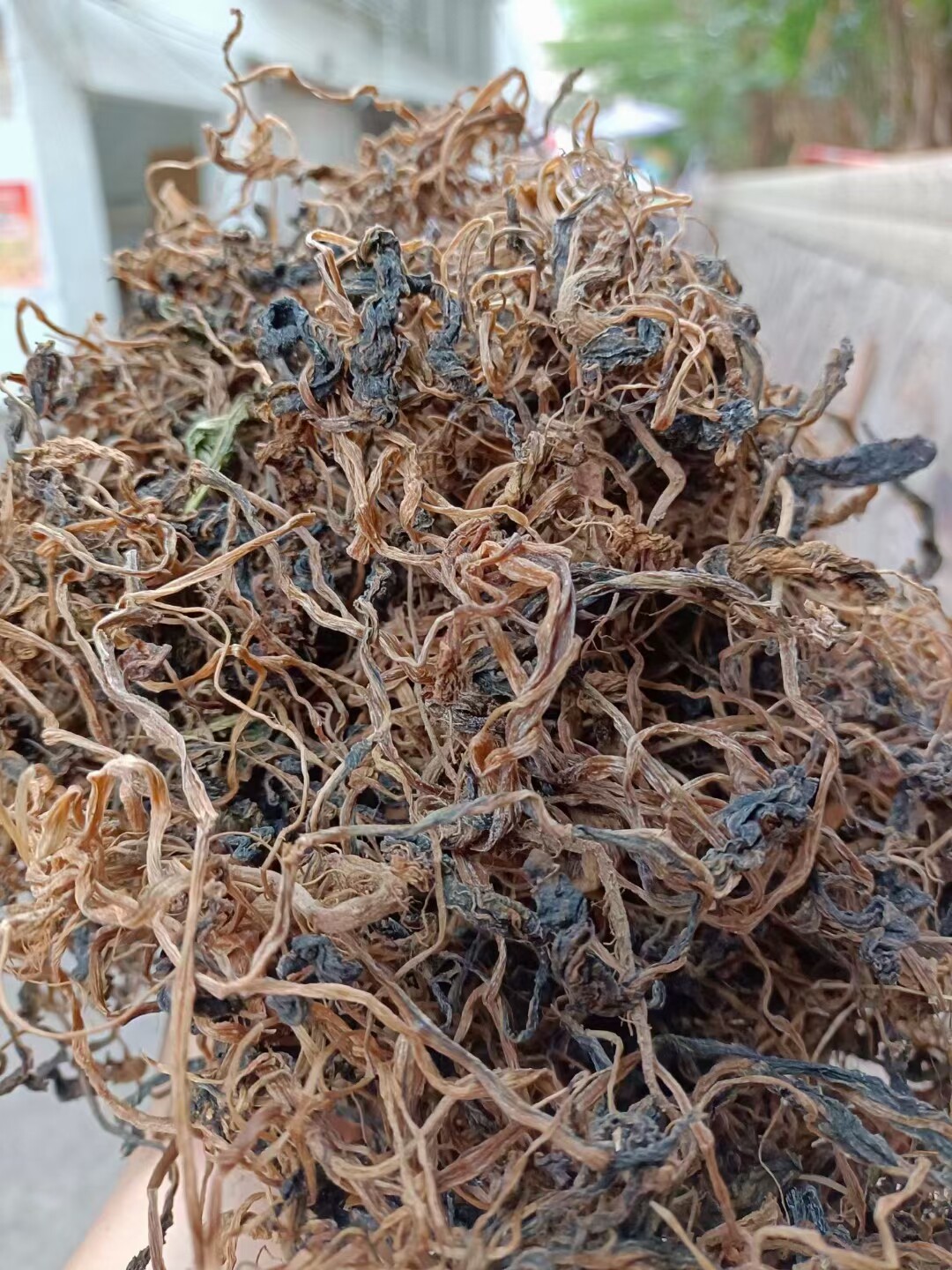 广东萝卜苗茶客家梅州特产天然手工制作萝卜苗茶干家庭平远茶500g