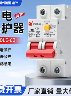 DZ40LE小型漏保漏电保护开关2p空气开关总闸充电桩开关家用40A63A