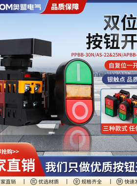 双位钮APBB-22N椭圆双头式带灯按钮开关PPBB双键双位AS-22高品质