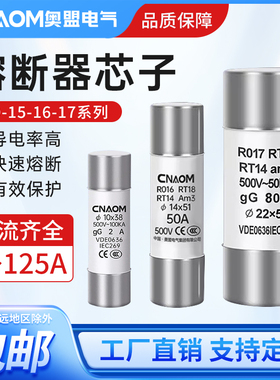 R015陶瓷保险丝管熔断器RO16 10*38熔芯RT18 RT14芯子R017 32A63A