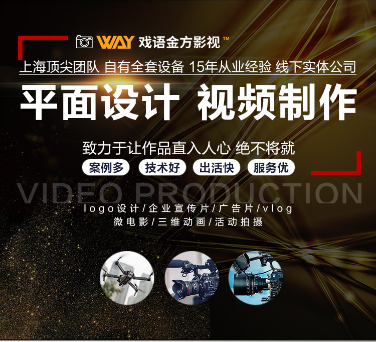 LOGO标志设计视频设计创意企业标志视频制作企业宣传广告设计拍摄