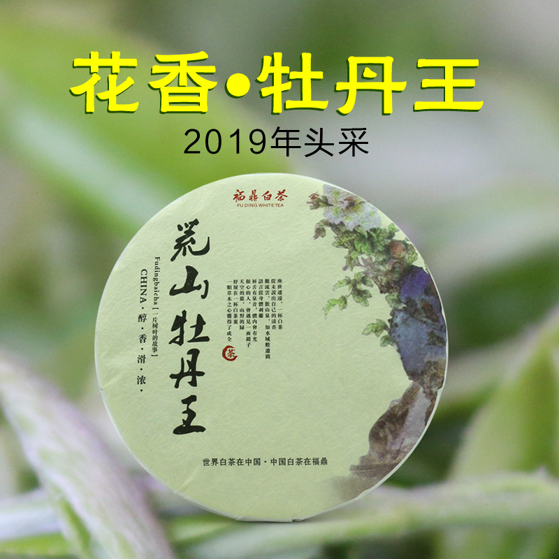 2019白牡丹茶荒山王福鼎白茶