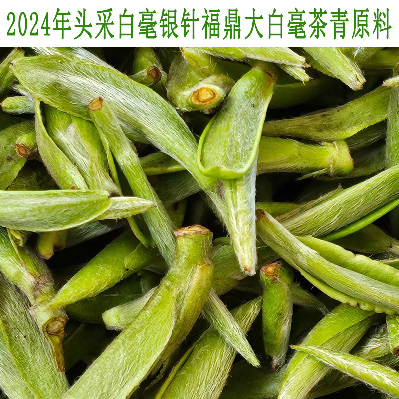 白毫银针太姥福鼎白茶老白茶2024年新茶茶叶明前茶春茶散装500克