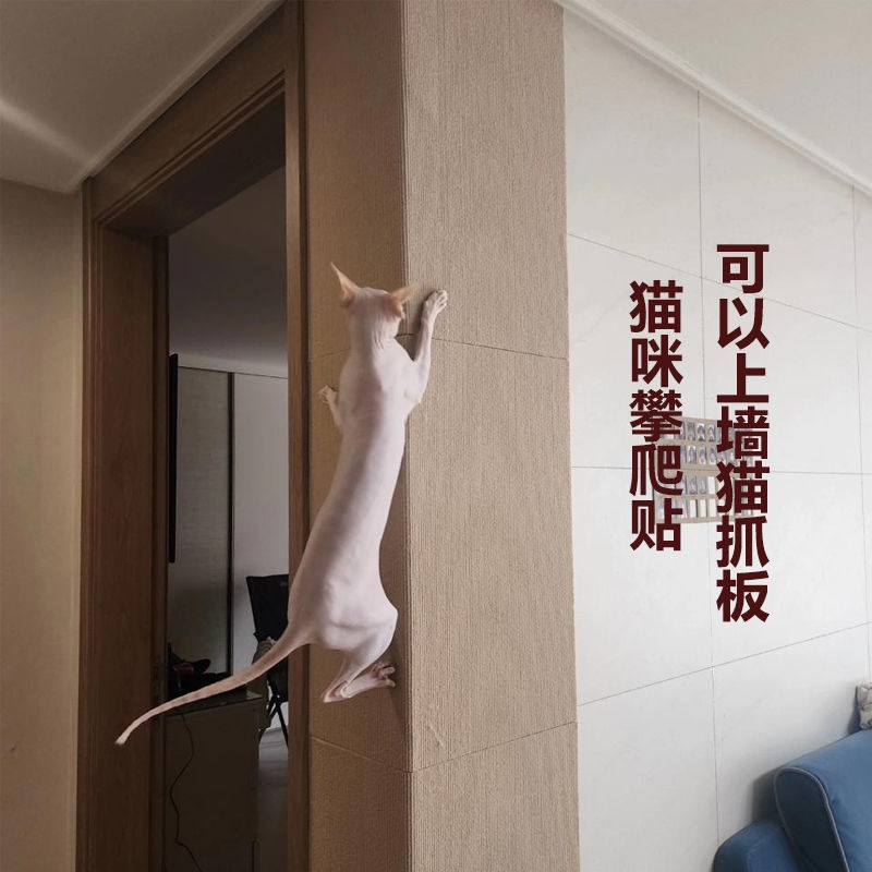 喵星人防猫抓沙发保护贴