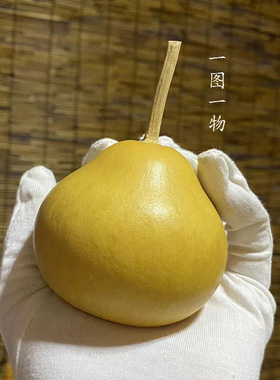 云朵梨葫芦一图一物天然胖梨小红书同款胖墩叶子文玩把玩手把件