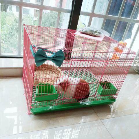 荷兰猪笼子加密豚鼠笼兔笼大号