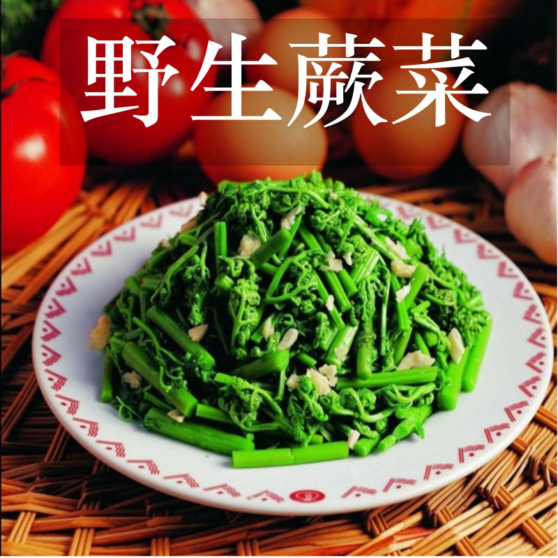 山蕨菜内蒙古克什克腾旗特产蕨菜咸菜新鲜腌制蕨菜包邮