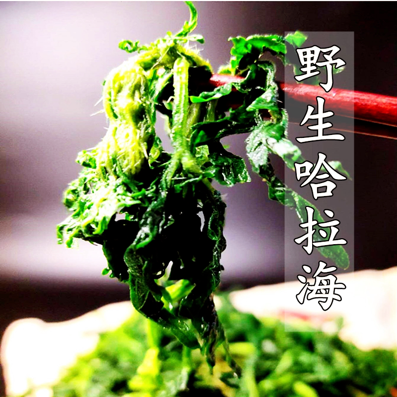 哈拉海 赤峰特产山野菜克什克腾旗特产哈拉海炖土豆3袋装包邮