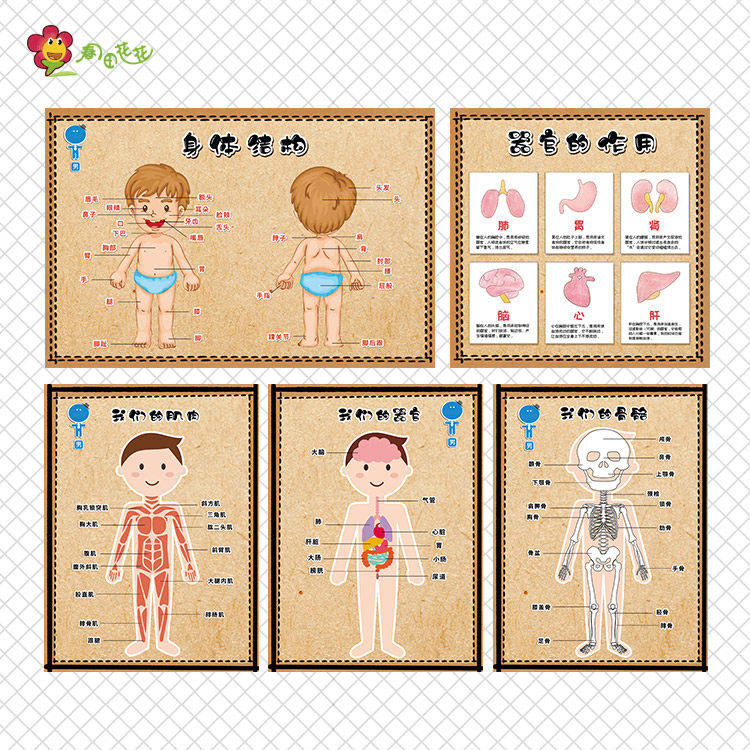 幼儿园我的身体小医院主题环创墙文化墙贴
