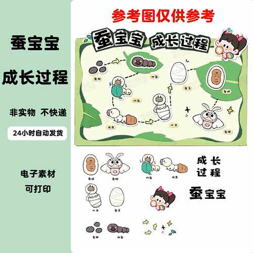 A204幼儿园春天主题环创自然植物角蝴蝶蚕宝宝的生长过程电子素材