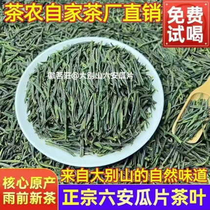 原产地2026新茶正宗六安瓜片茶谷雨前采摘春茶安徽浓香型绿茶JZ3