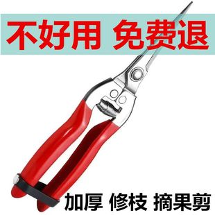 不锈钢稀果剪水果花枝花卉剪刀葡萄剪花椒剪摘花摘果剪刀树枝修剪
