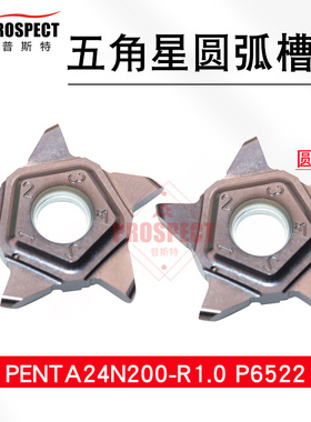 普斯特五角星圆弧槽刀片PENTA24N100/140/200/239/300-R1.0 P6522