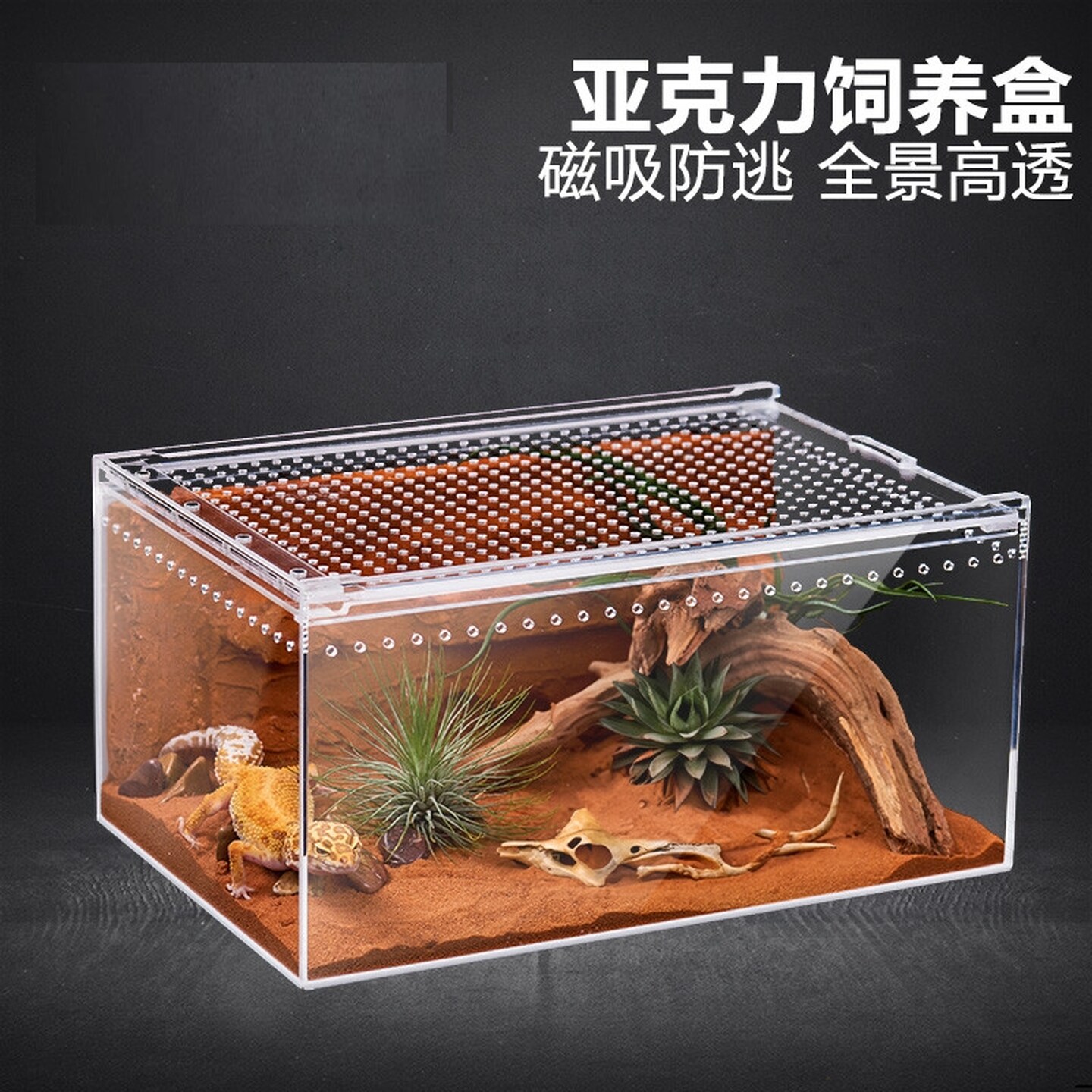 爬虫亚克力饲养盒爬宠守宫蜥蜴角蛙宠物蛇推拉式磁吸透明爬箱缸pc