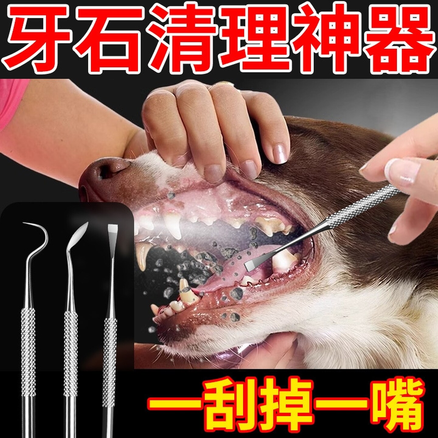 牙结石刮刀宠物狗狗猫咪洁牙器锄型洁牙工具泰迪去牙垢结石去除器