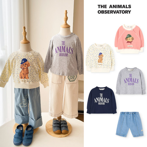 Little现货 西班牙TAO FW26秋冬幼童宝宝卫衣牛仔裤100棉