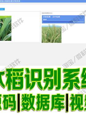 水稻识别检测系统flask模型数据图片挖掘分析python源码sqlite