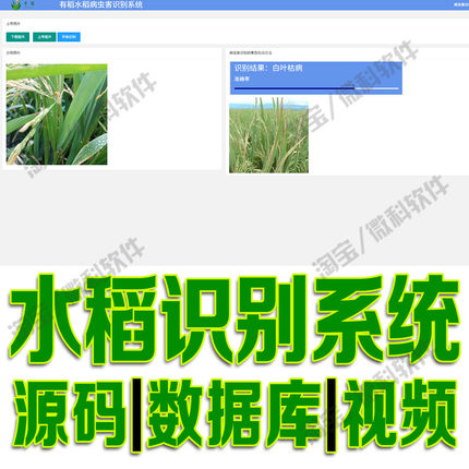 水稻识别检测系统flask模型数据图片挖掘分析python源码sqlite