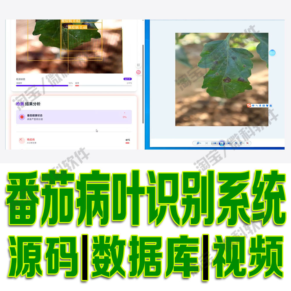 番茄病叶识别系统yolo模型数据分析深度flask+daisyUI源码python