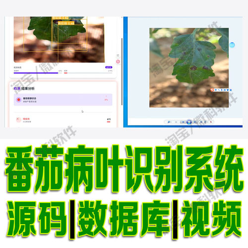 番茄病叶识别系统yolo模型数据分析深度flask+daisyUI源码python