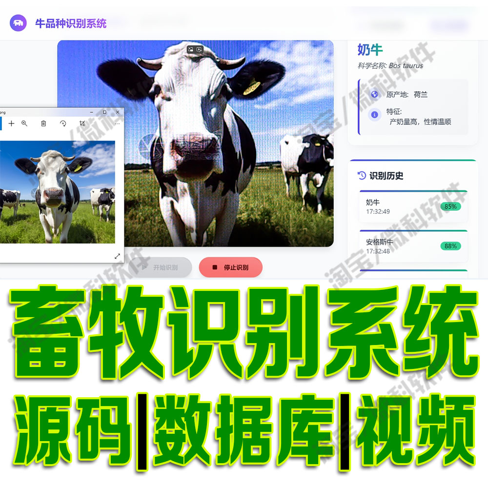 面部检测健康监测YOLOV8模型 畜牧识别系统SpringBoot源码python