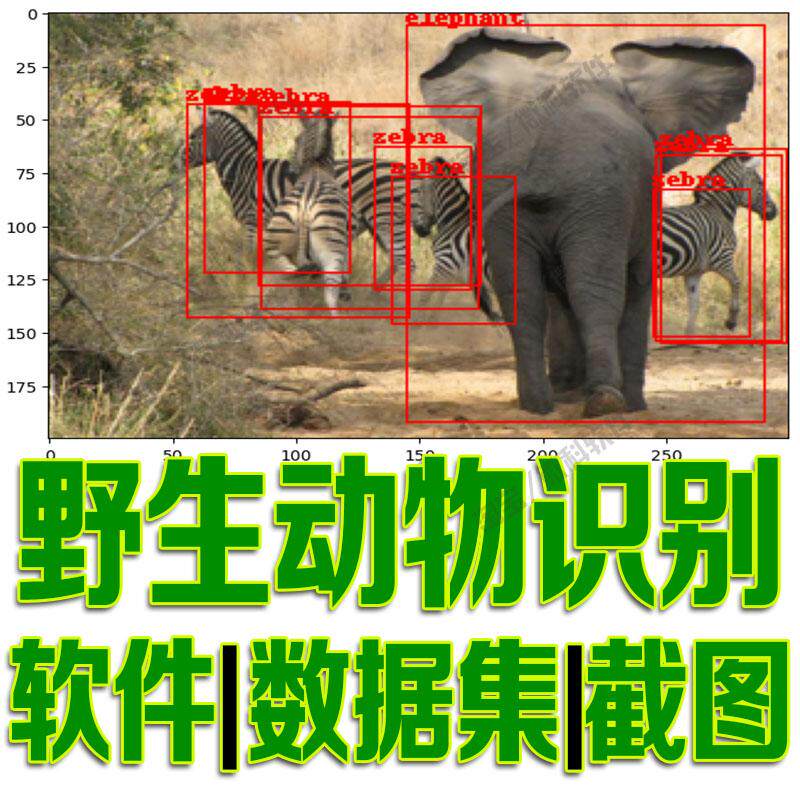 非洲野生动物检测数据集yolo训练标注voc机器深度自动识别python