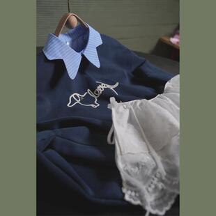 别致的智性通勤内搭假领子～蓝白条纹高级文雅实穿显瘦设计感