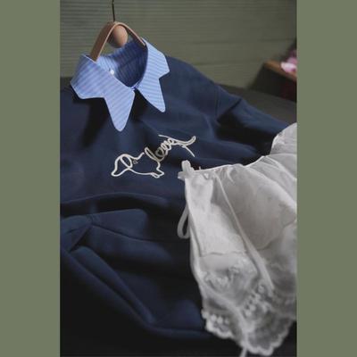 智性蓝白条纹文雅高级假领子