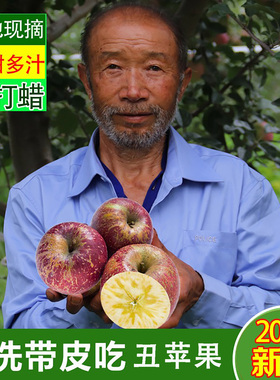 现摘云南昭通冰糖心丑苹果脆甜当季脆甜新鲜糖心野苹果孕妇水果