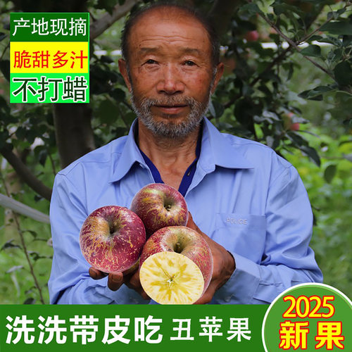 云南昭通野生脆甜多汁孕妇水果