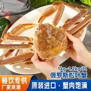 俄罗斯松叶蟹原装进口大螃蟹鲜活速冻长脚蟹北太平洋雪蟹帝王蟹腿