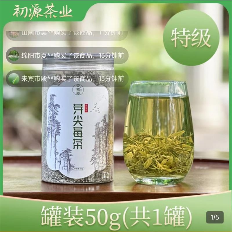 张家界芽尖莓茶特级野生养生茶