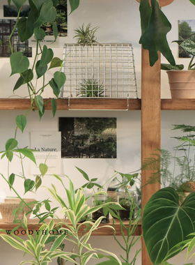 本木庐舍丨直播间一物一拍优惠小众冷门盆器绿植搭配礼品礼物