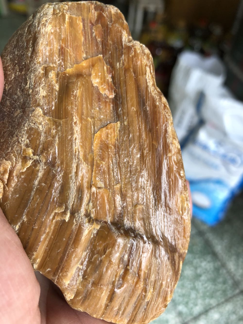 黑龙江天然嫩江水冲料树化玉硅化木原石手把件雕刻料摆件708克