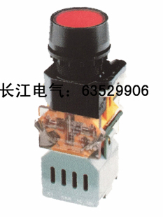209B 瞬时 11DS 江阴长江 自锁 11D 208B 圆形带灯按钮 LA38