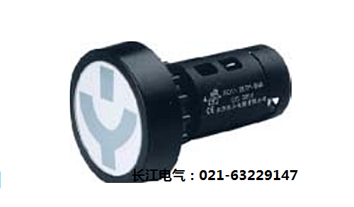 江阴长江AD11-22/21 W4B 信号灯 AD11-22/41指示灯 口径22