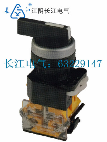 江阴长江 LA38-11XF2/203   20CXF3/203 自复位旋钮开关 - 封面