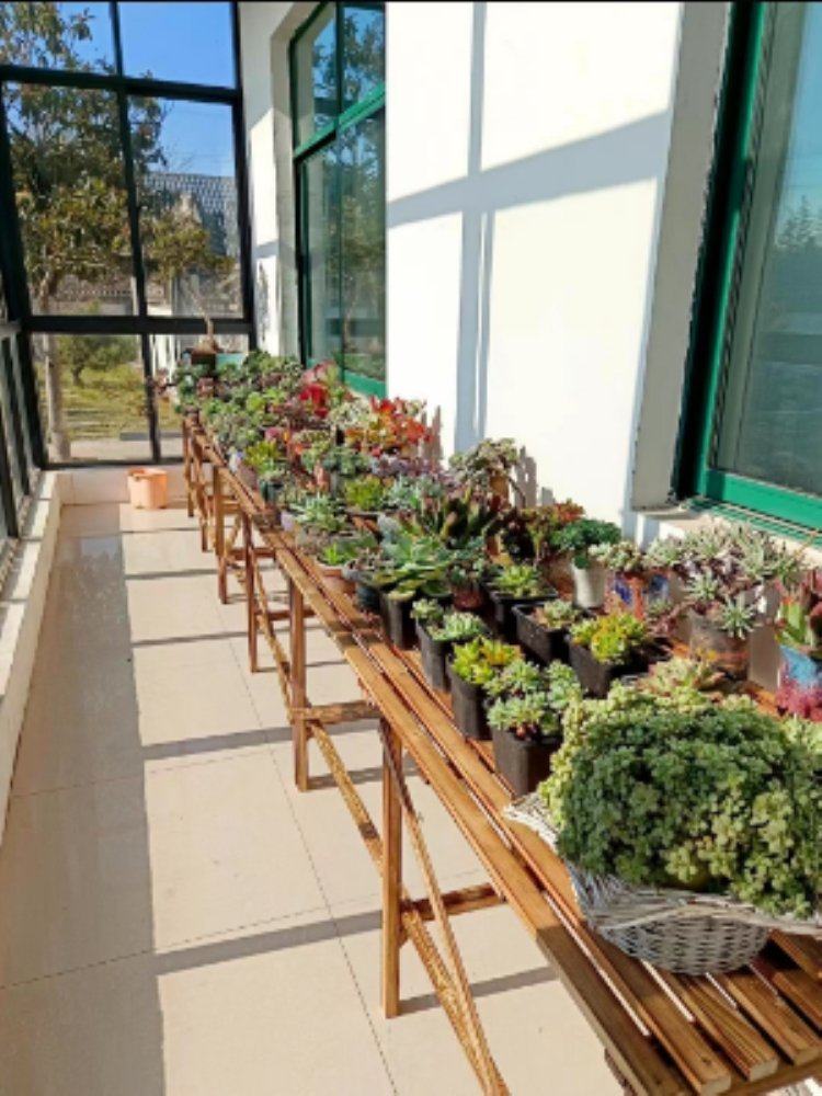 户外实木花架子阳台落地式碳化木防腐置物架多层阶梯简约花木盆架