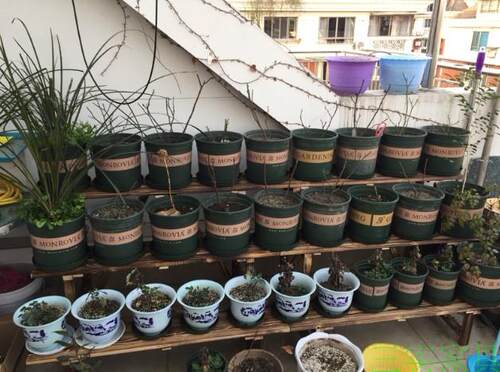 防腐木多层阶梯式置物包邮花架子