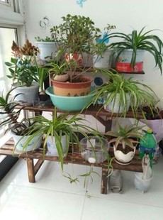 阳台实木三层花架户外防腐碳化木简约阶梯式多肉花架子置物架包邮