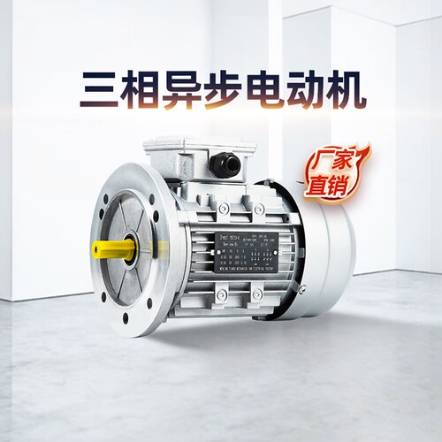 铜线新款电机三项异步低速电机