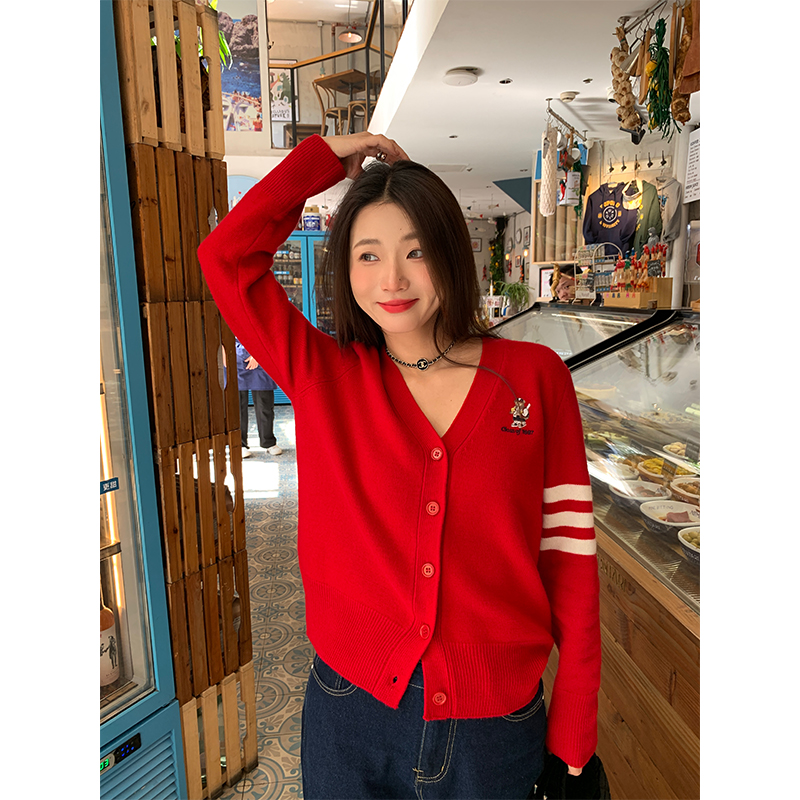 落落狷介长袖V领绵羊毛针织衫女