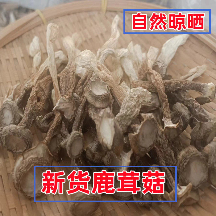 东北特产鹿茸菇干蘑菇煲汤鹿茸菌非野生山珍菌菇长白山干货250克