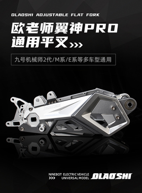 欧老师翼神PRO平叉九号M395c Mz MMAX F2z E80C改装ABS后平叉套装