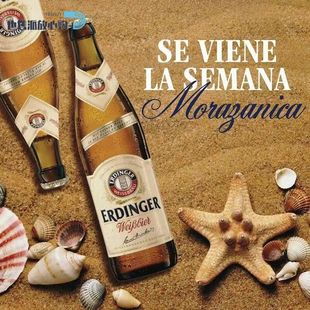 德国进口啤酒爱尔丁格精酿啤酒500ml瓶装艾丁格小麦白啤黑啤酒